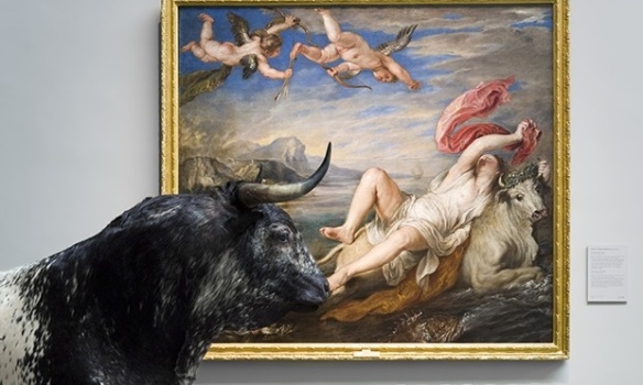 Rubens-The-Rape-of-Europa with real bull