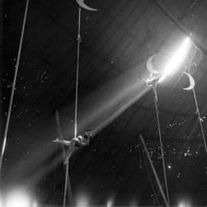 Life Visits the Circus in Florida- Acrobats and stage performers in various stages of action.